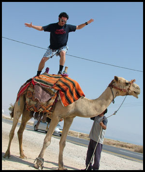 NOFX Hanging ten, on a camel...